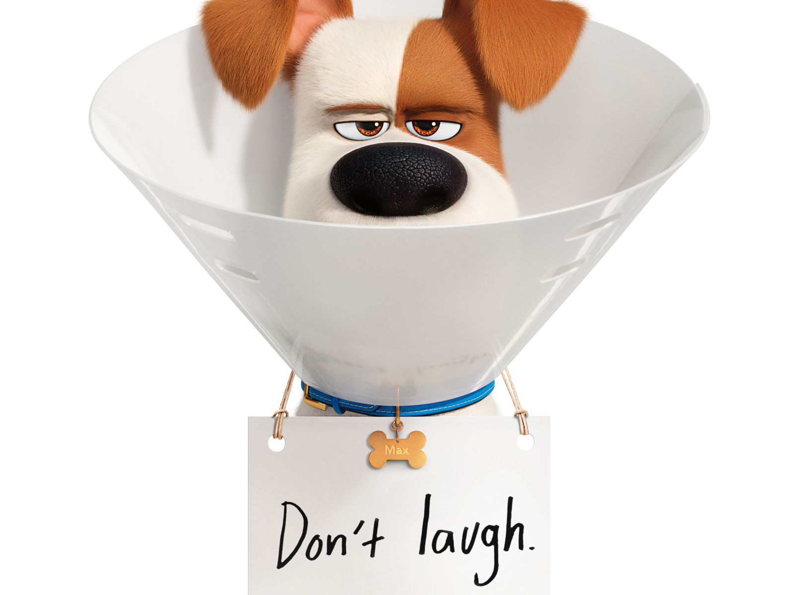 Джек-рассел-терьер Макс из мультфильма Тайная жизнь домашних животных 2