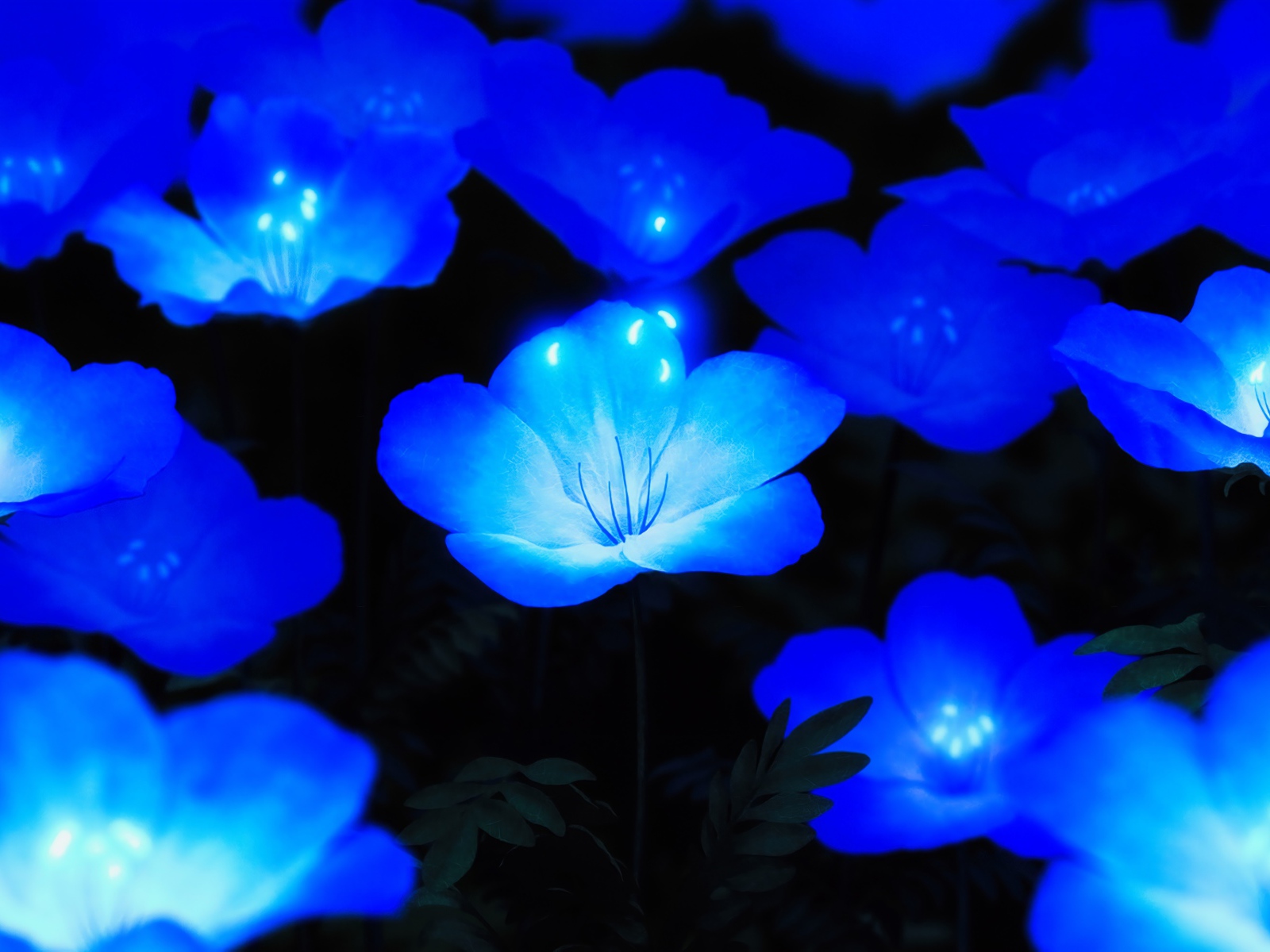 Красивые фантастические голубые цветы 