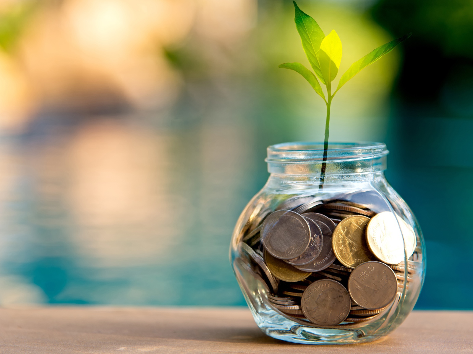 Зеленый росток прорастает из копилки 