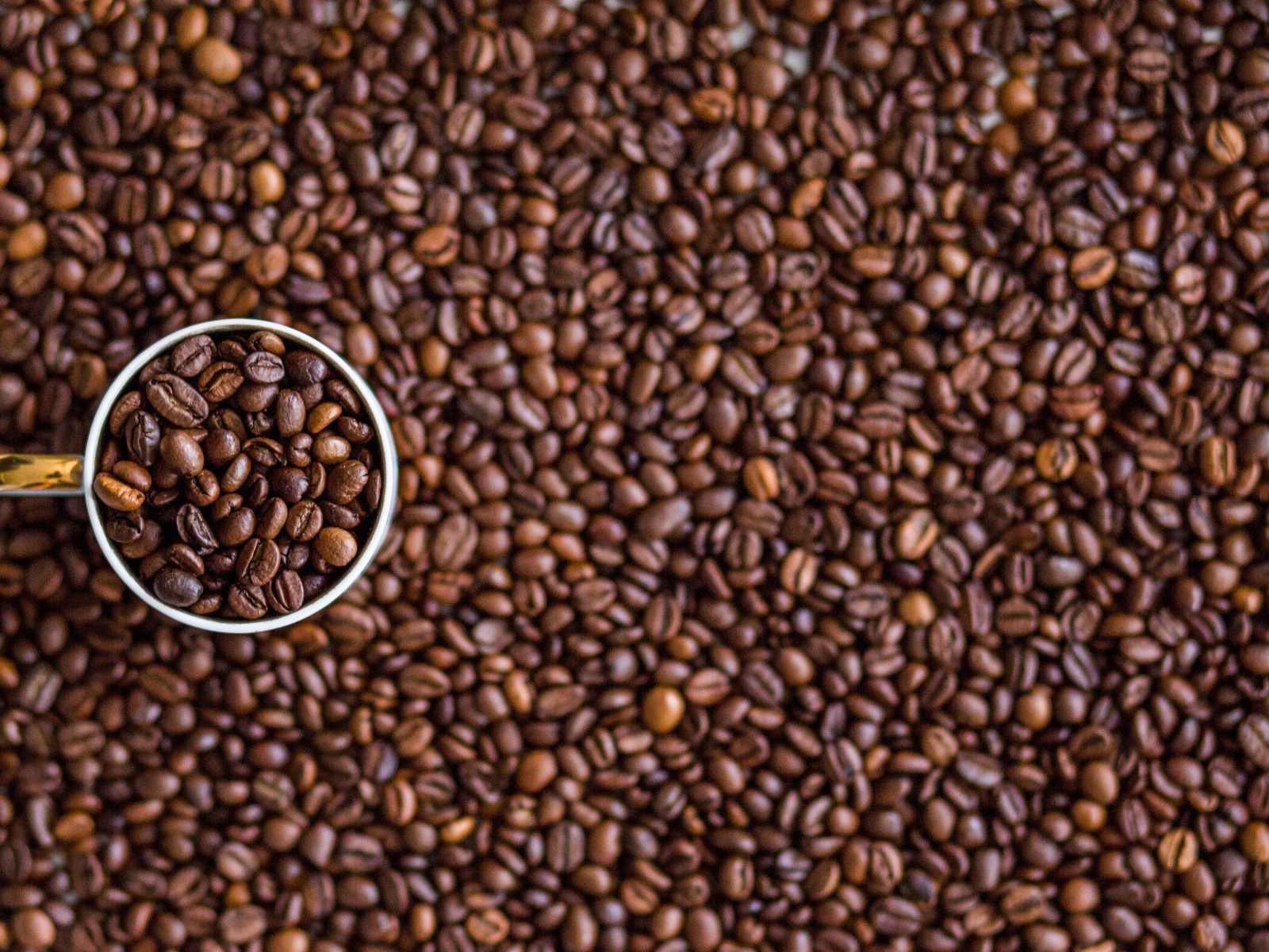 Чашка с кофейными зернами стоит на зернах 