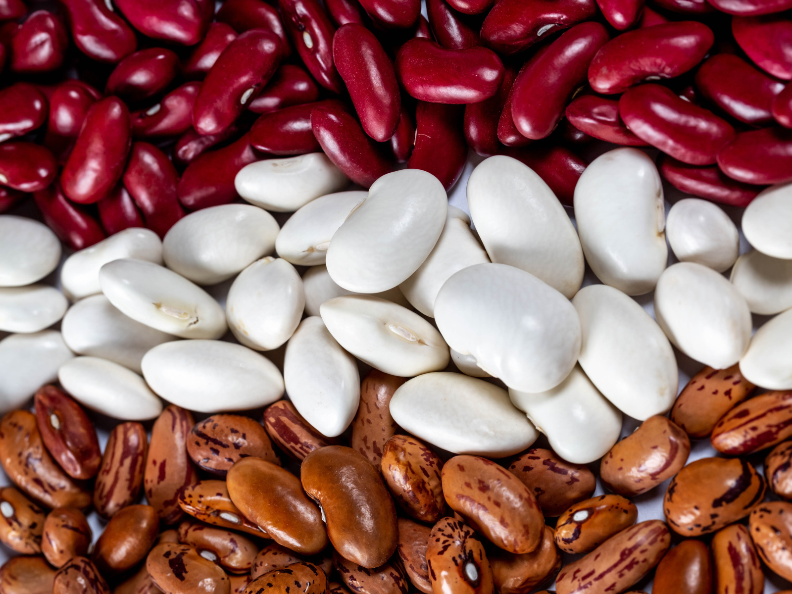 Много разноцветной фасоли крупным планом