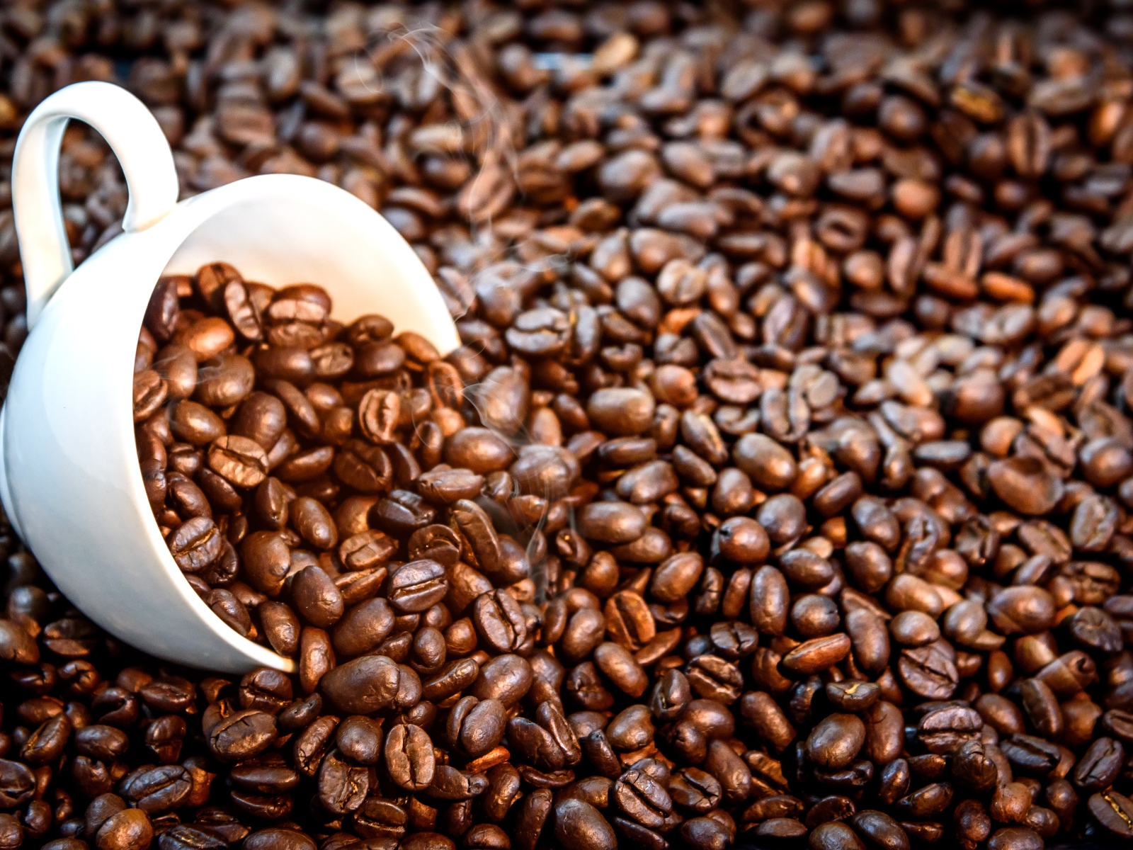 Белая чашка с жареными кофейными зернами