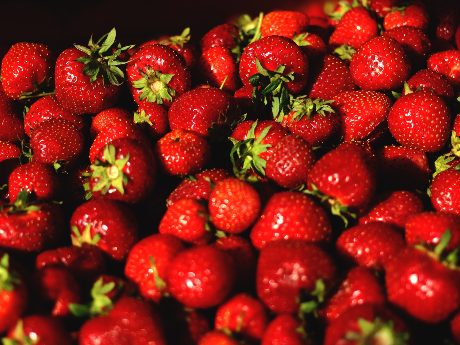 Аппетитная сладкая спелая клубника крупным планом