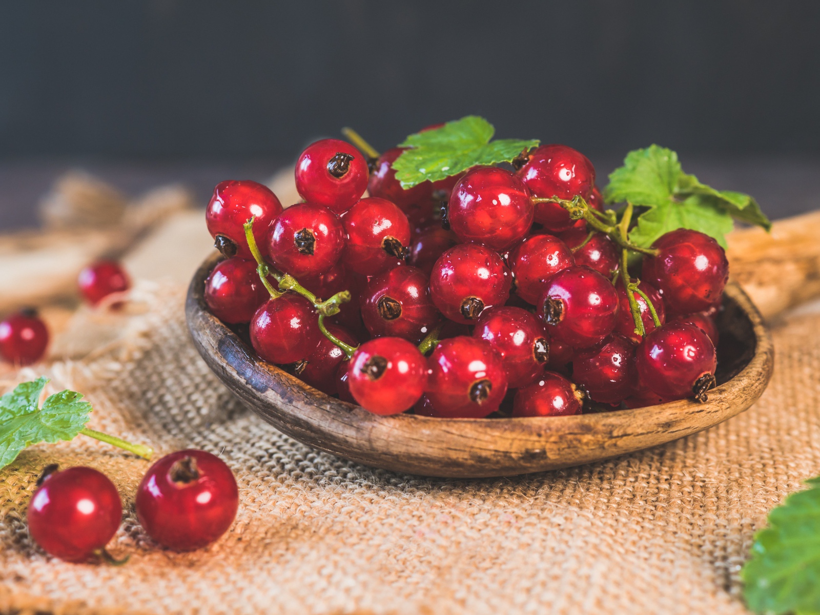 Красивая спелая красная смородина 