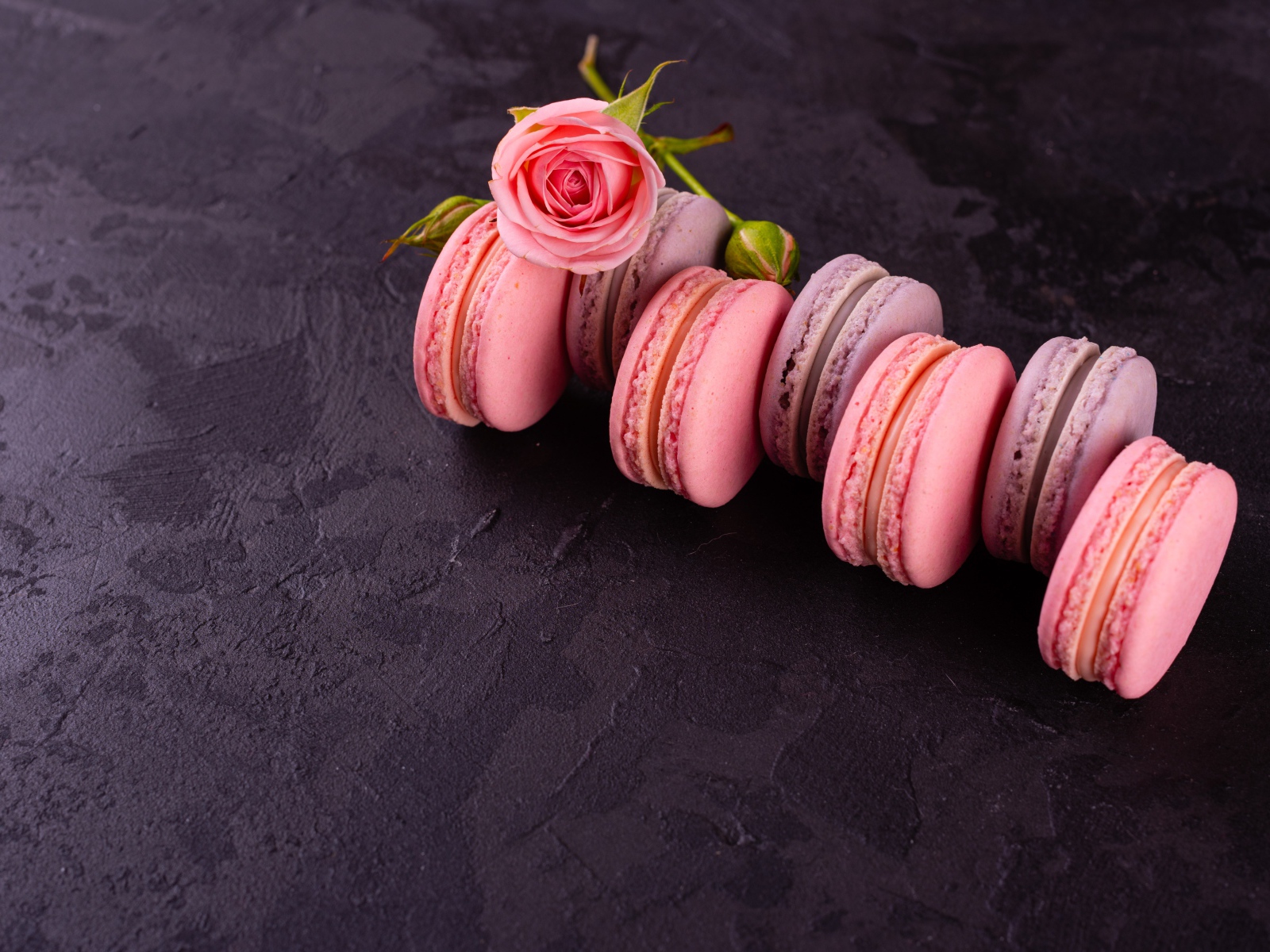 Аппетитный сладкий десерт макарон на серой поверхности с розой 