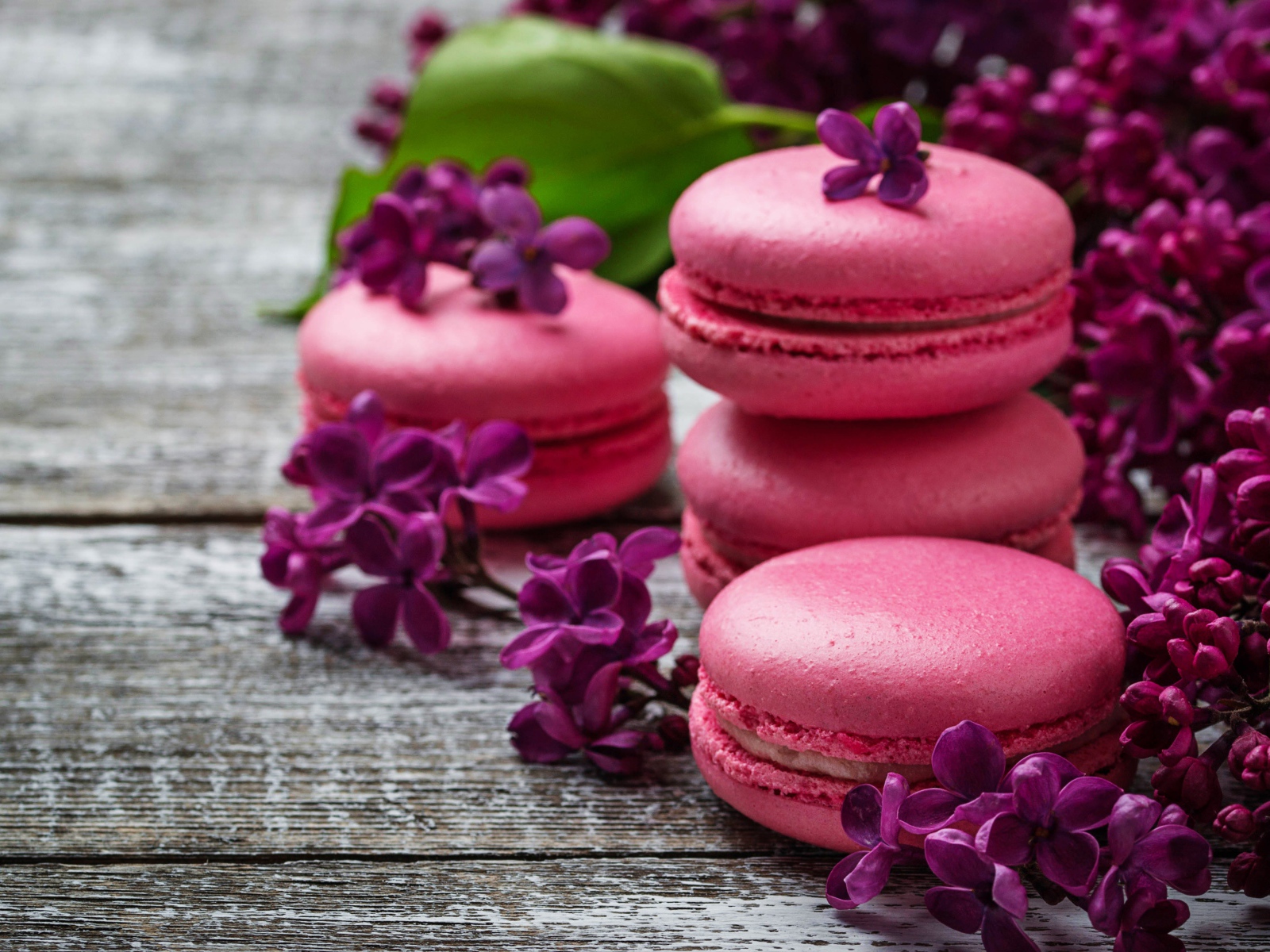 Розовый десерт макарон на столе с сиренью