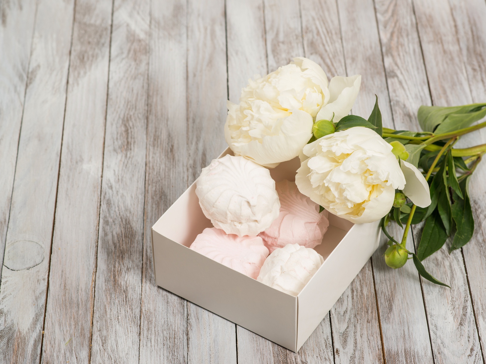 Белые пионы на столе с зефиром 