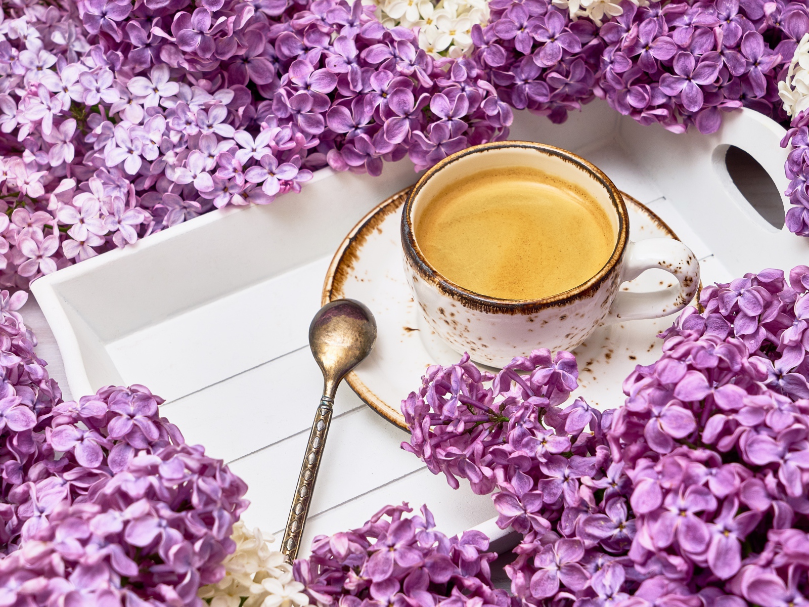 Чашка кофе на подносе с цветами сирени 