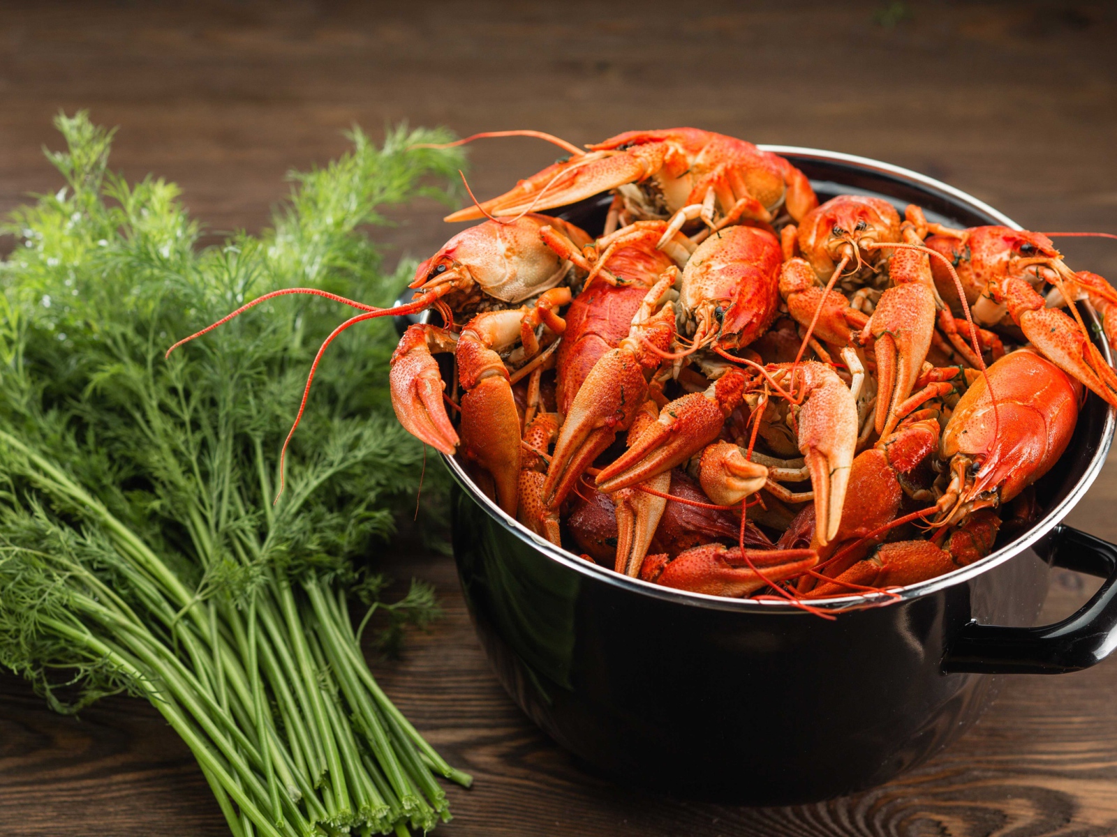 Boiled crayfish in a pan on the table with dill