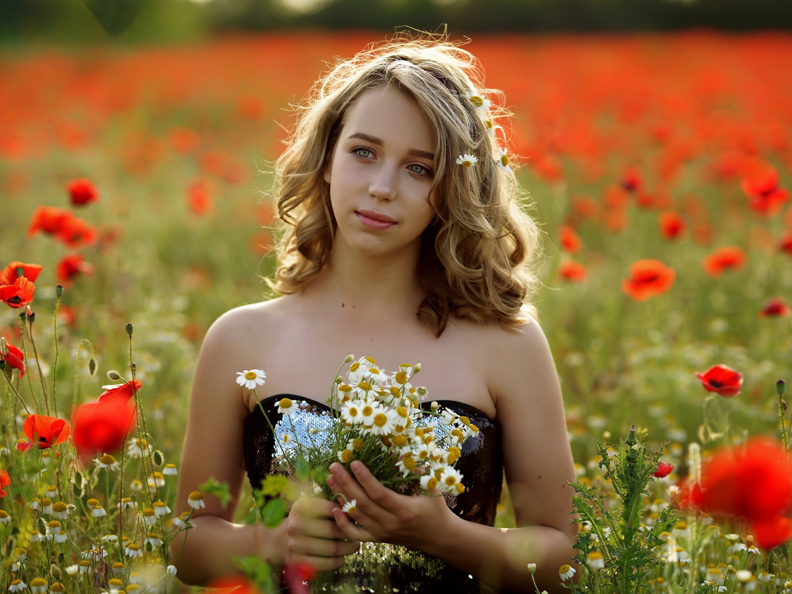 Красивая девушка с букетом ромашек на поле с маками