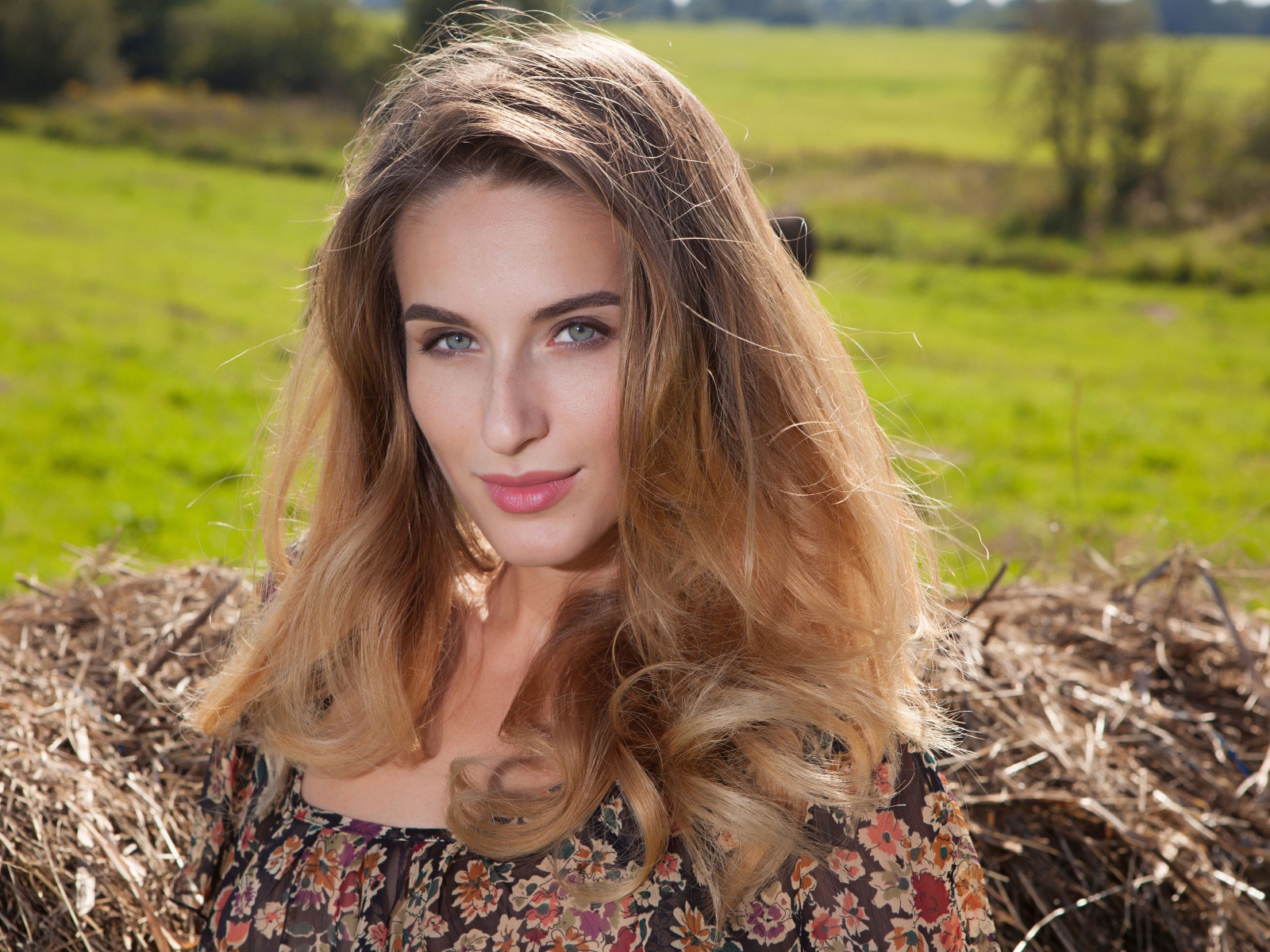 Красивая девушка с серыми глазами стоит у сена