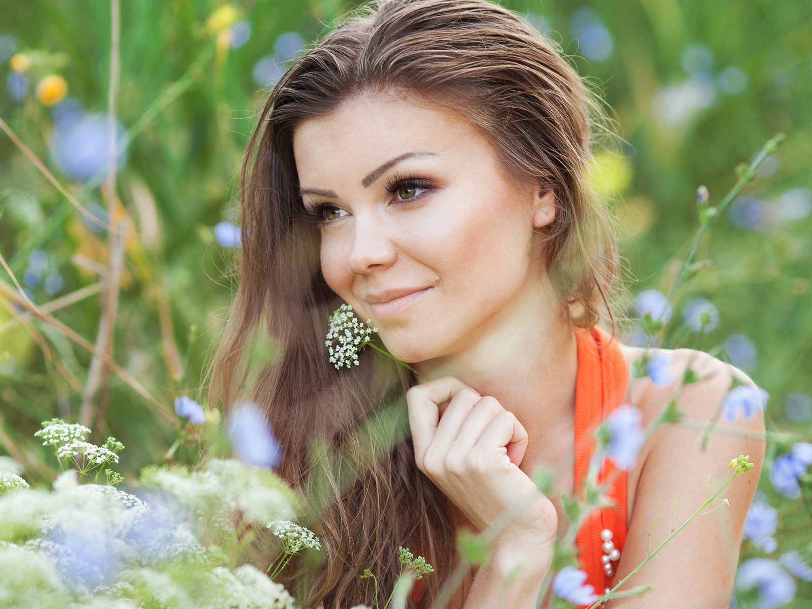 Красивая нежная девушка лежит в цветах на поле