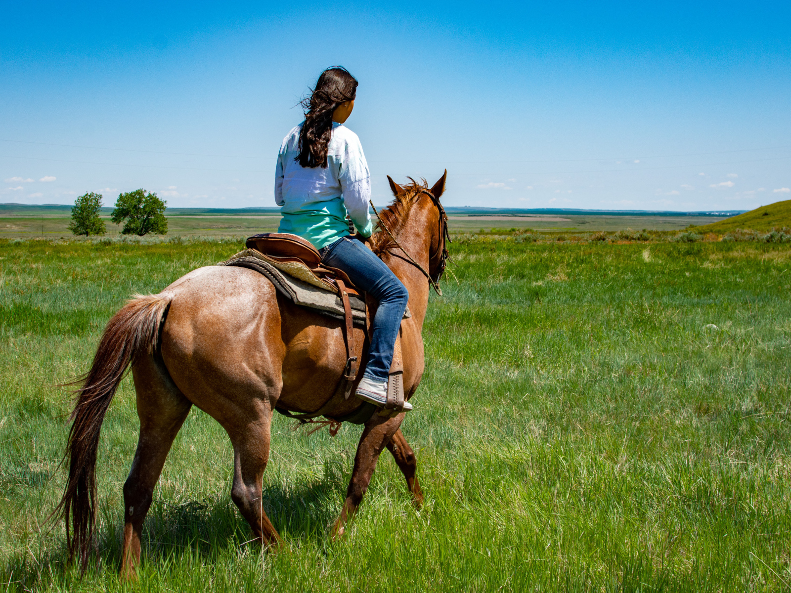 Молодая девушка едет на лошади по зеленой траве