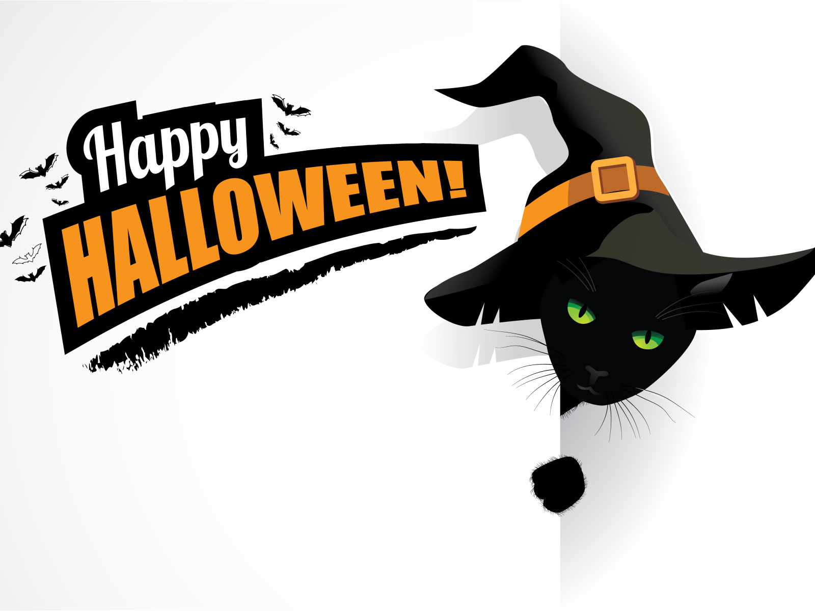 Черный кот в шляпе ведьмы с надписью на белом фоне