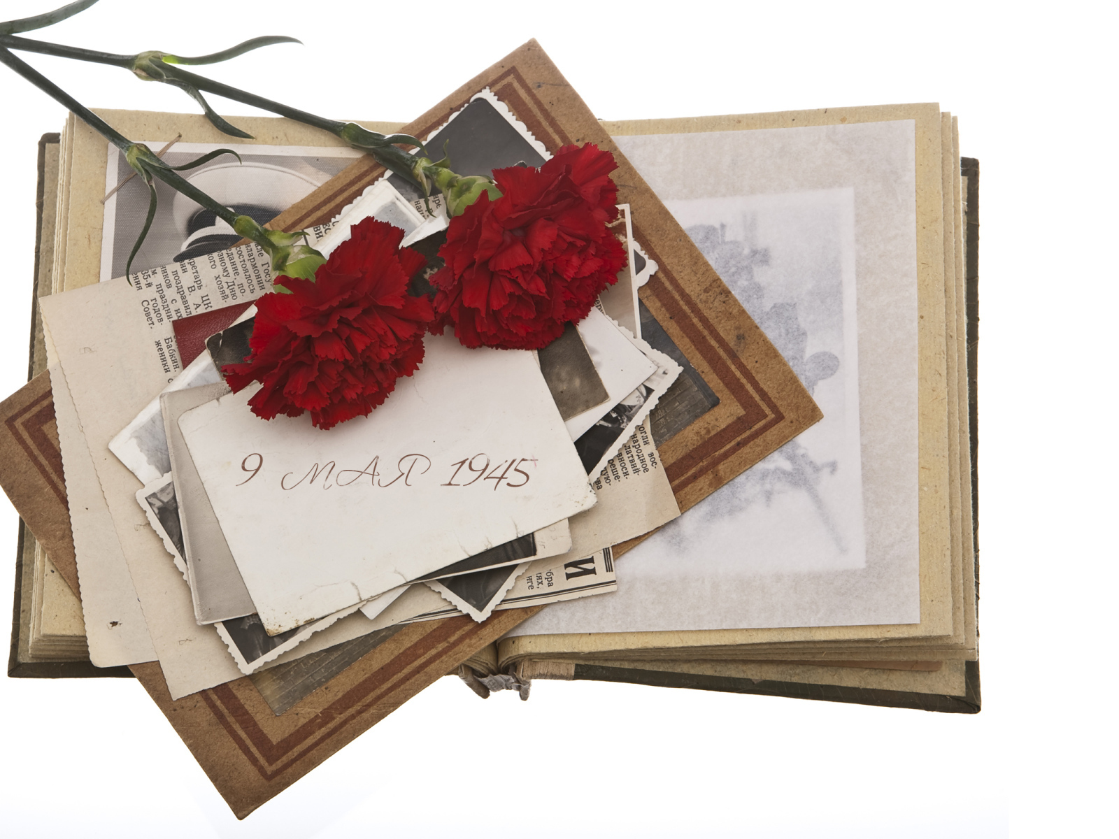 Военный альбом и две гвоздики на белом фоне на День Победы 9 мая 