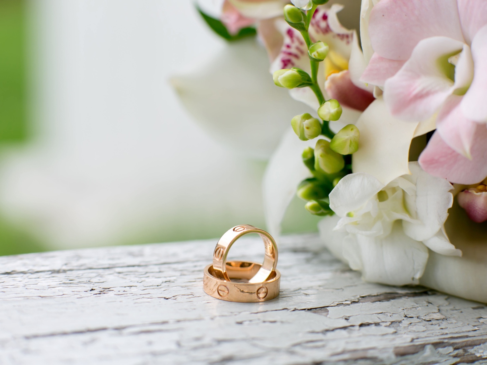 Два золотых обручальных кольца лежат на столе с цветами