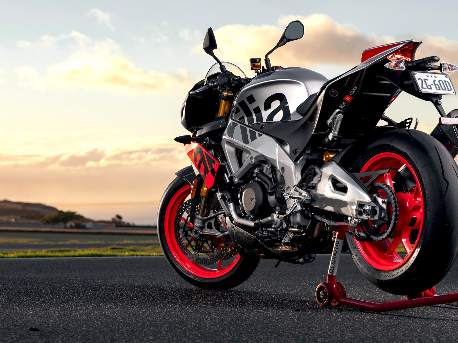Мотоцикл Aprilia Tuono V4 1100 Factory 2019 года вид сзади