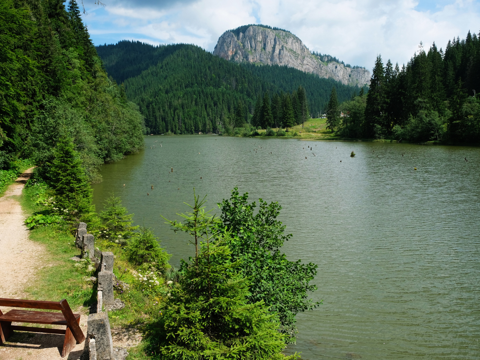 Лавка у горной реки у хвойного леса 