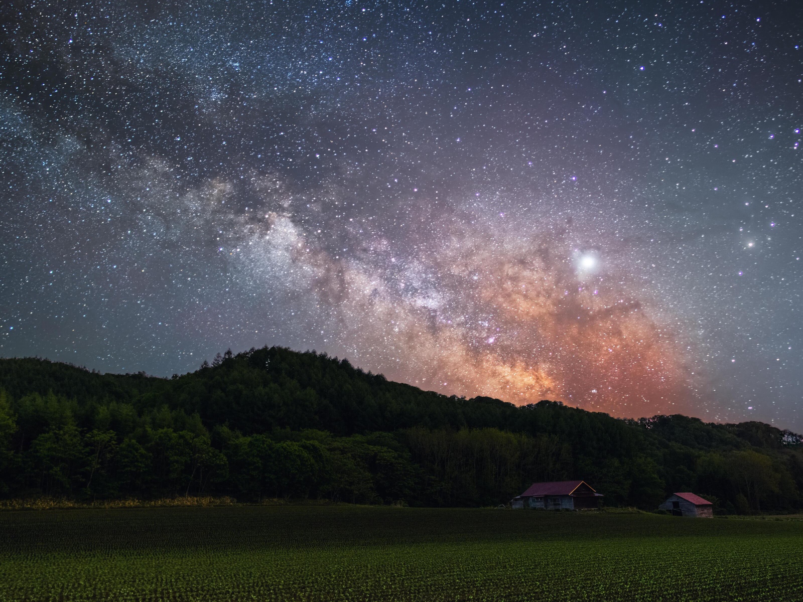 Milky Way in the starry sky above the green forest