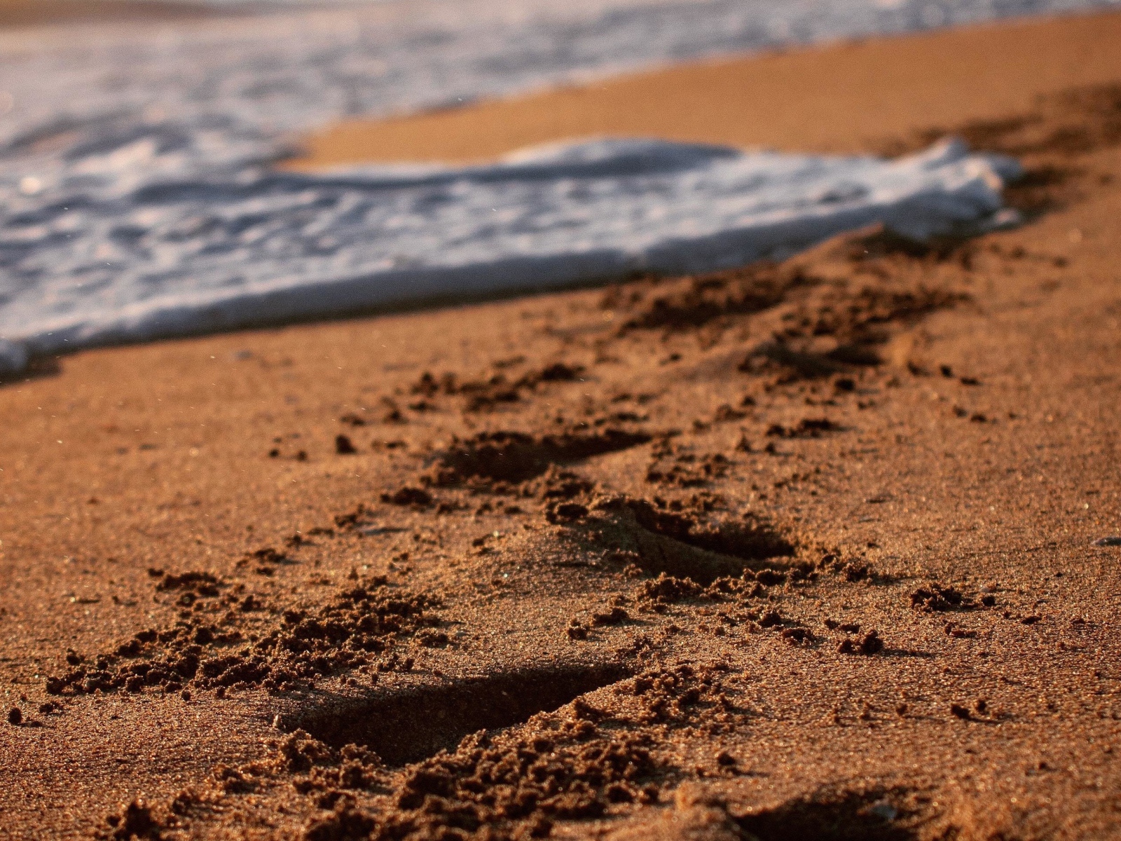 Следы на мокром морском песке с белой пеной