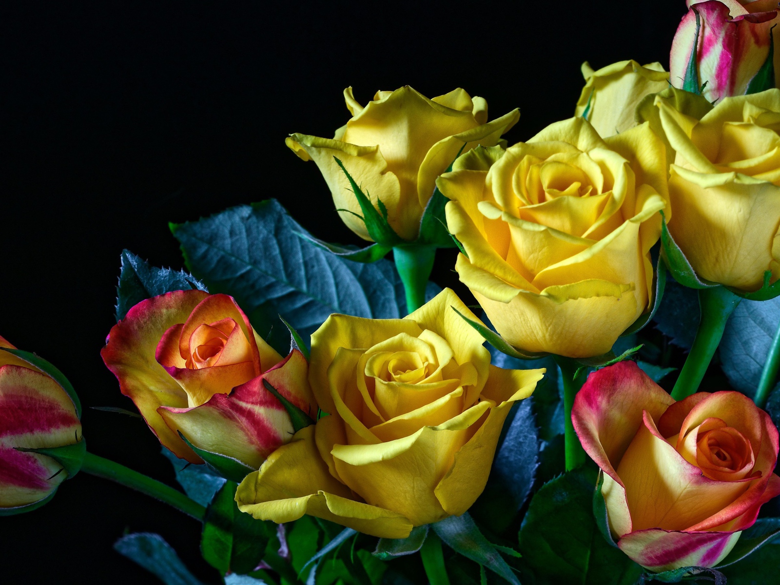 Букет желто - розовых роз на черном фоне