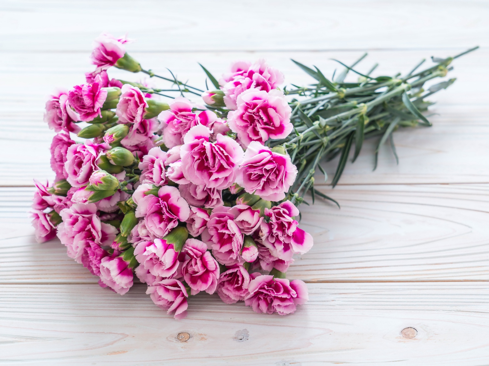 Букет розовых цветов гвоздики на столе