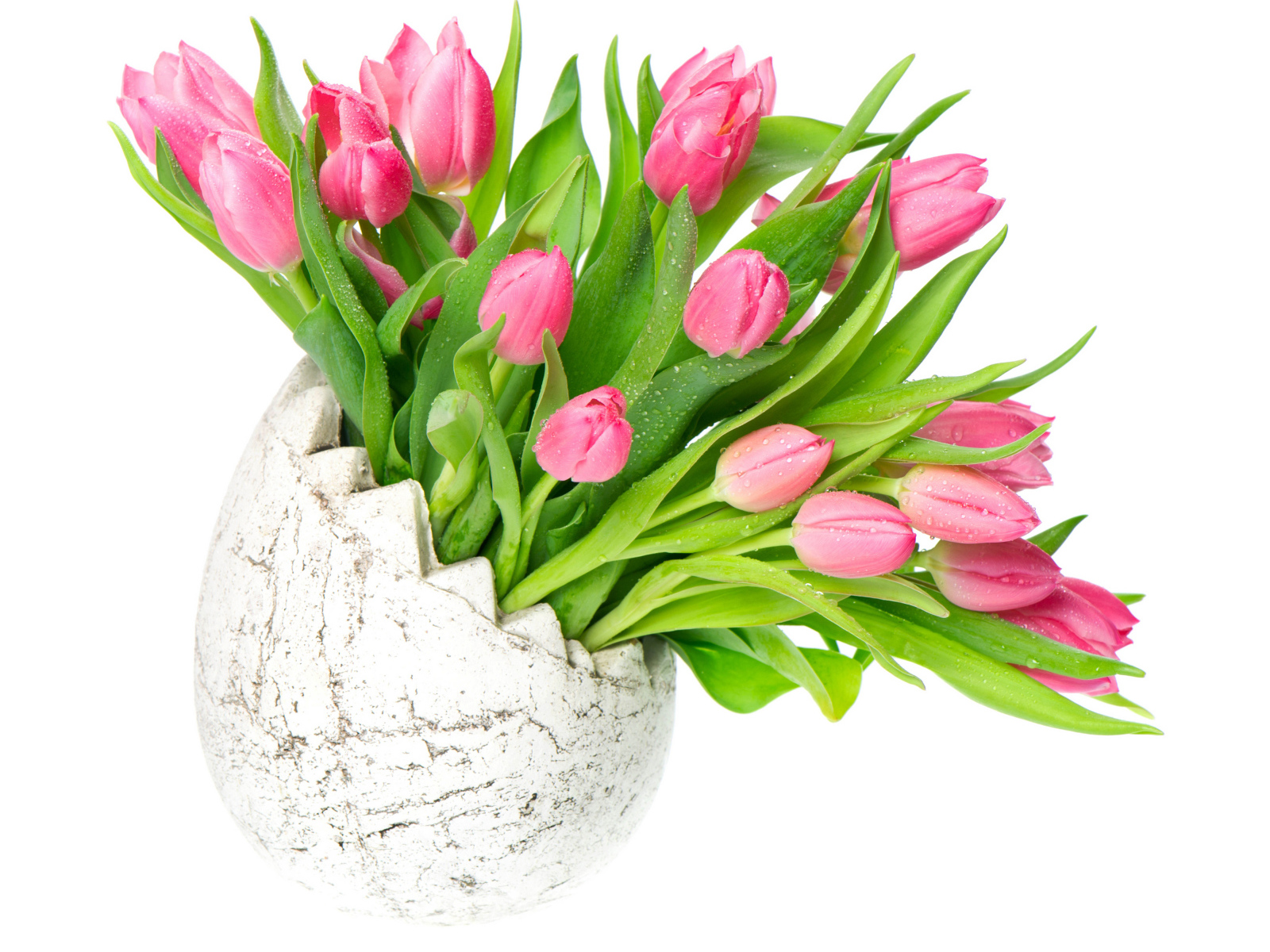 Букет розовых тюльпанов в вазе на белом фоне