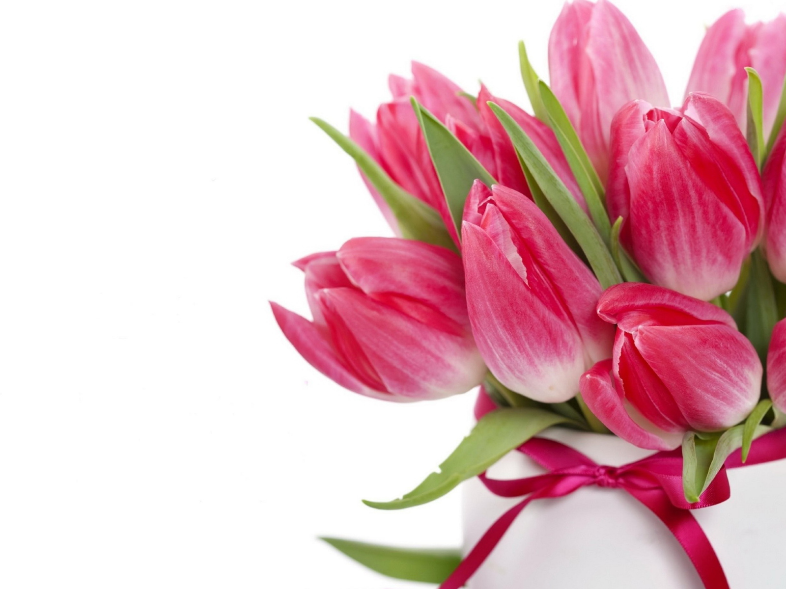 Букет розовых тюльпанов с лентой на белом фоне