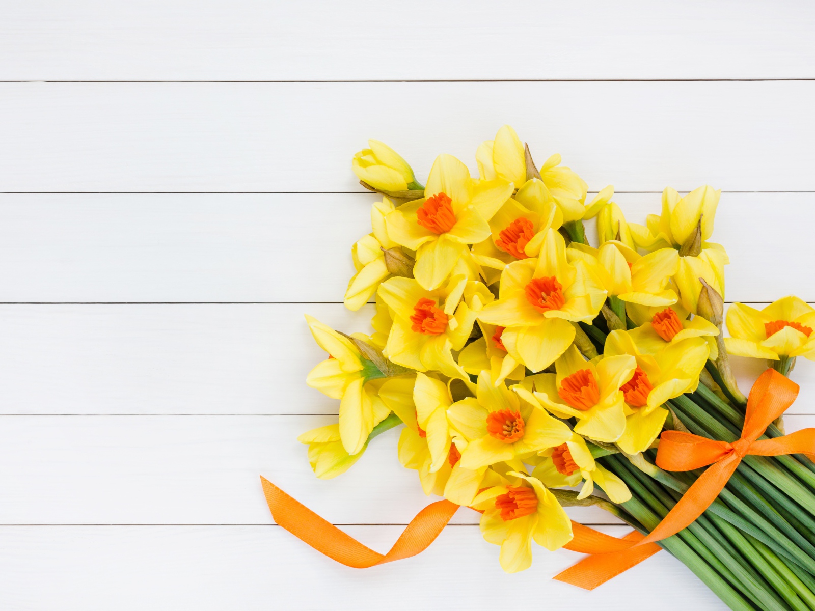 Букет желтых нарциссов с бантом на сером фоне