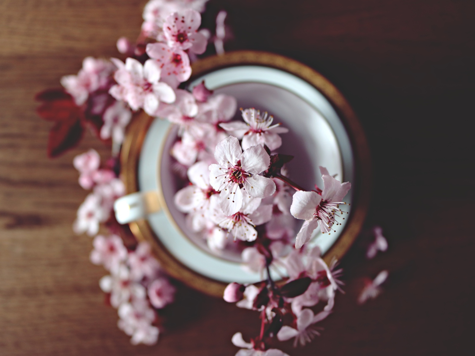 Розовые цветы в чашке на столе 