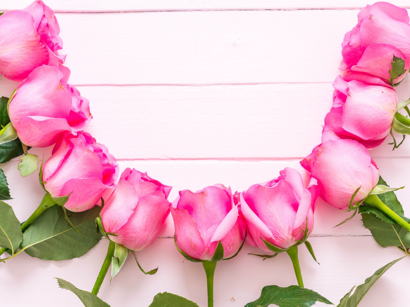 Розовые розы дугой на деревянном фоне