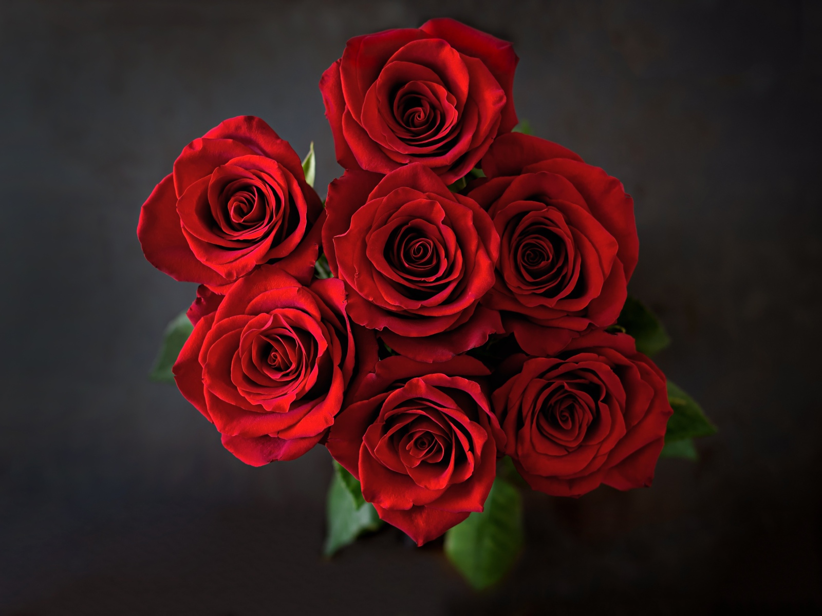 Букет красных роз вид сверху на сером фоне 