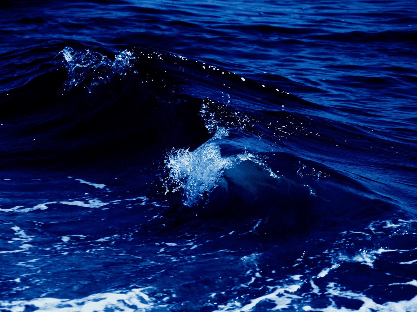 Белая волна в синем теплом море