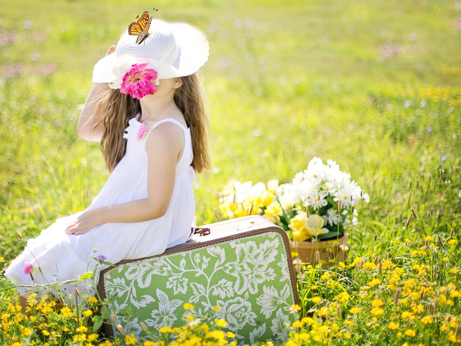 Маленькая девочка сидит на чемодане на поле с цветами