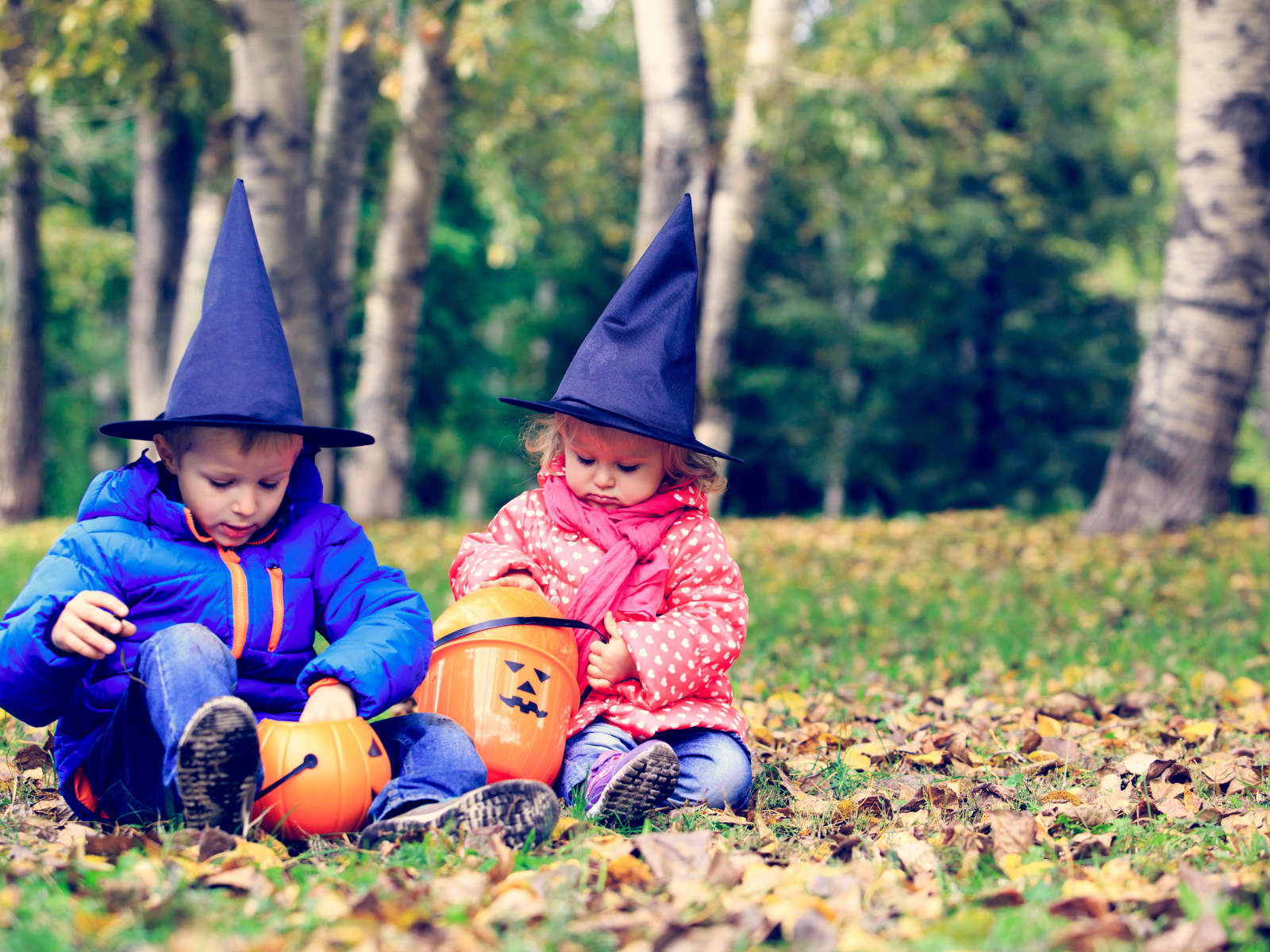 Маленькие мальчик и девочка в лесу на Хэллоуин 
