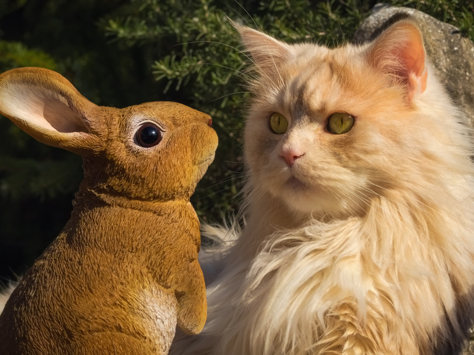 Пушистый рыжий кот сидит в парке со статуэткой кролика 