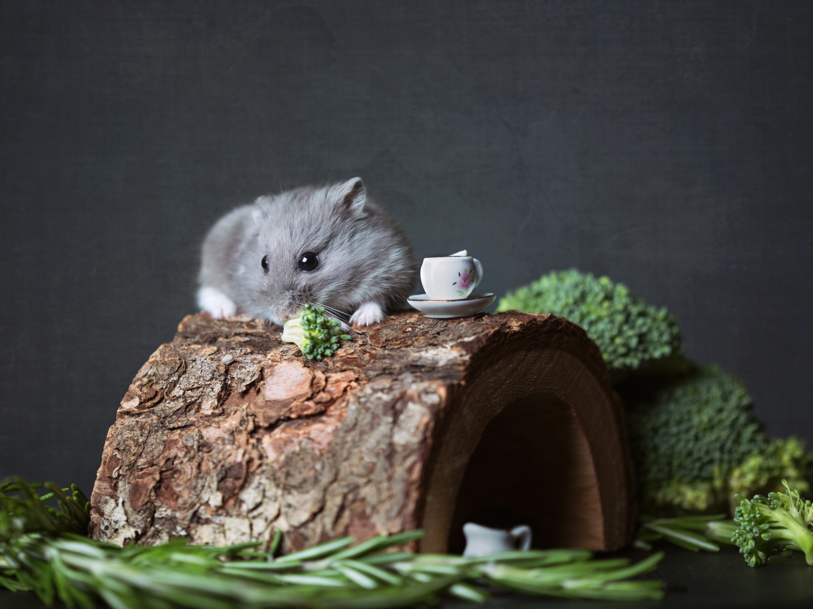 Маленький мышонок на столе с брокколи и розмарином 