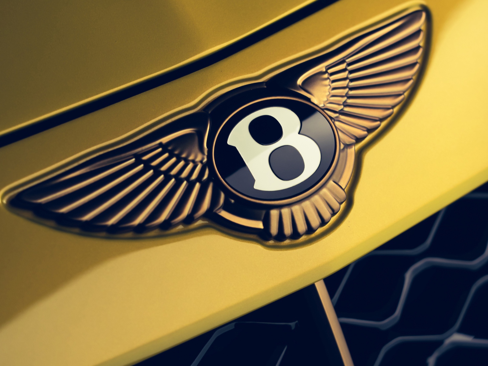 Логотип автомобиля Bentley Mulliner Bacalar 2020  года крупным планом