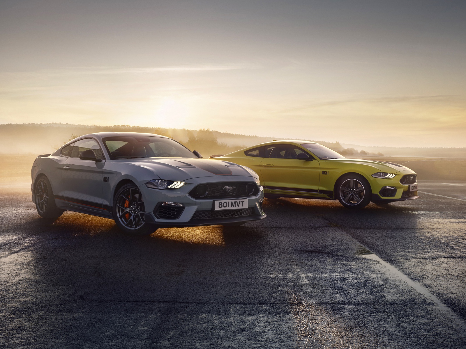 Два автомобиля Ford Mustang Mach 1 2021 года туманным утром