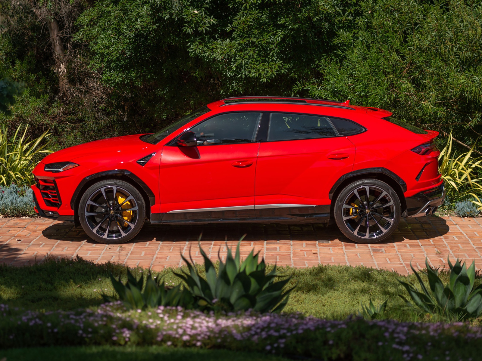 Красный автомобиль Lamborghini Urus вид сбоку 