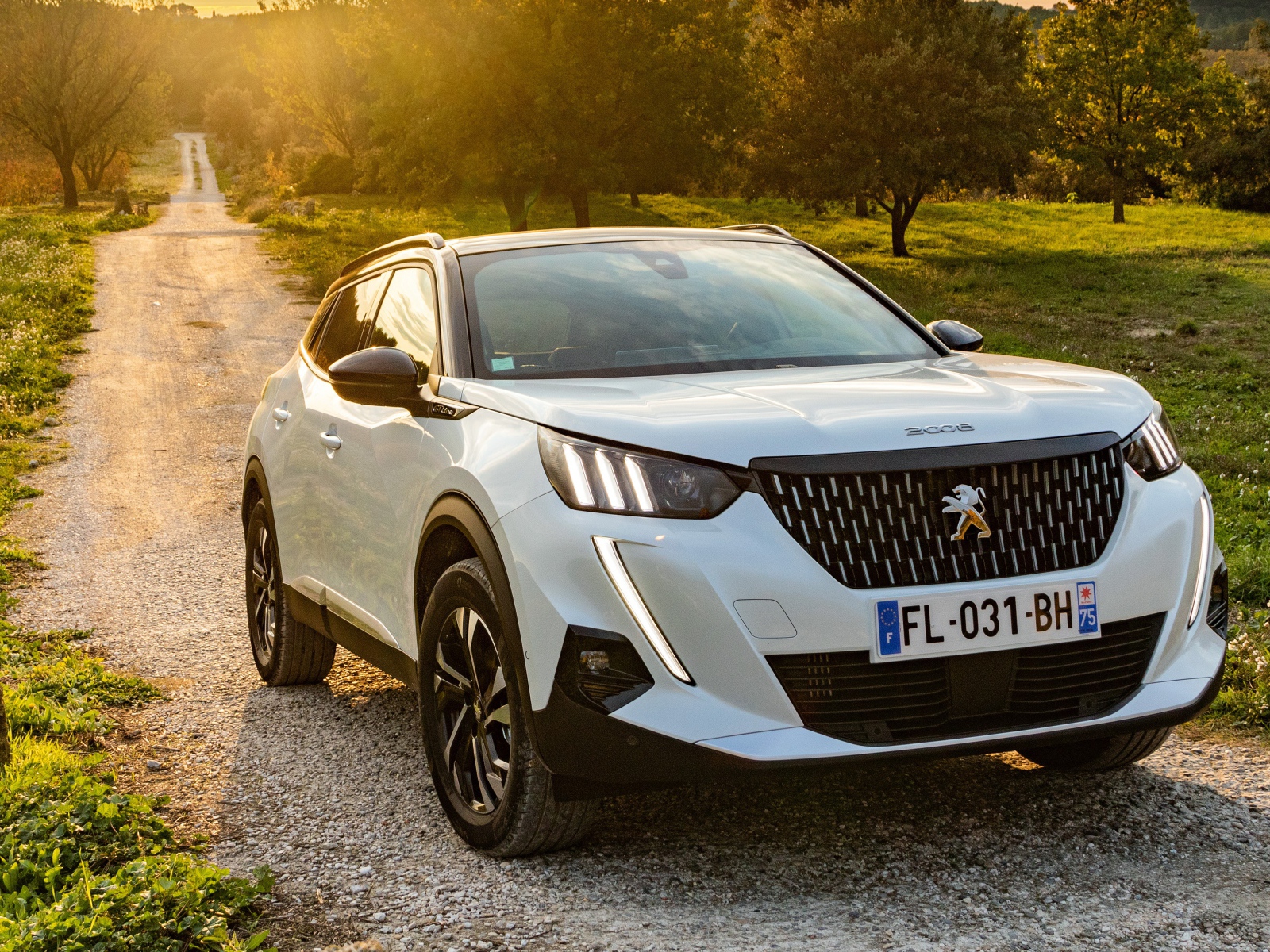 Белый внедорожник Peugeot 2008 GT Line 2019 года на дороге в лесу