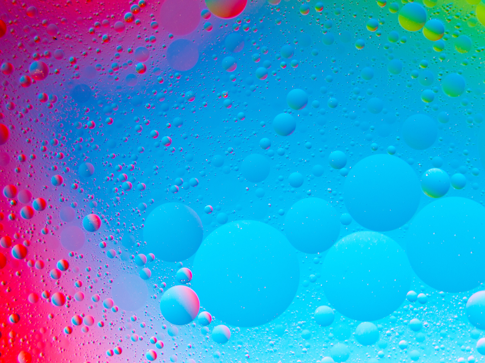 Bubbles of water on a colorful background