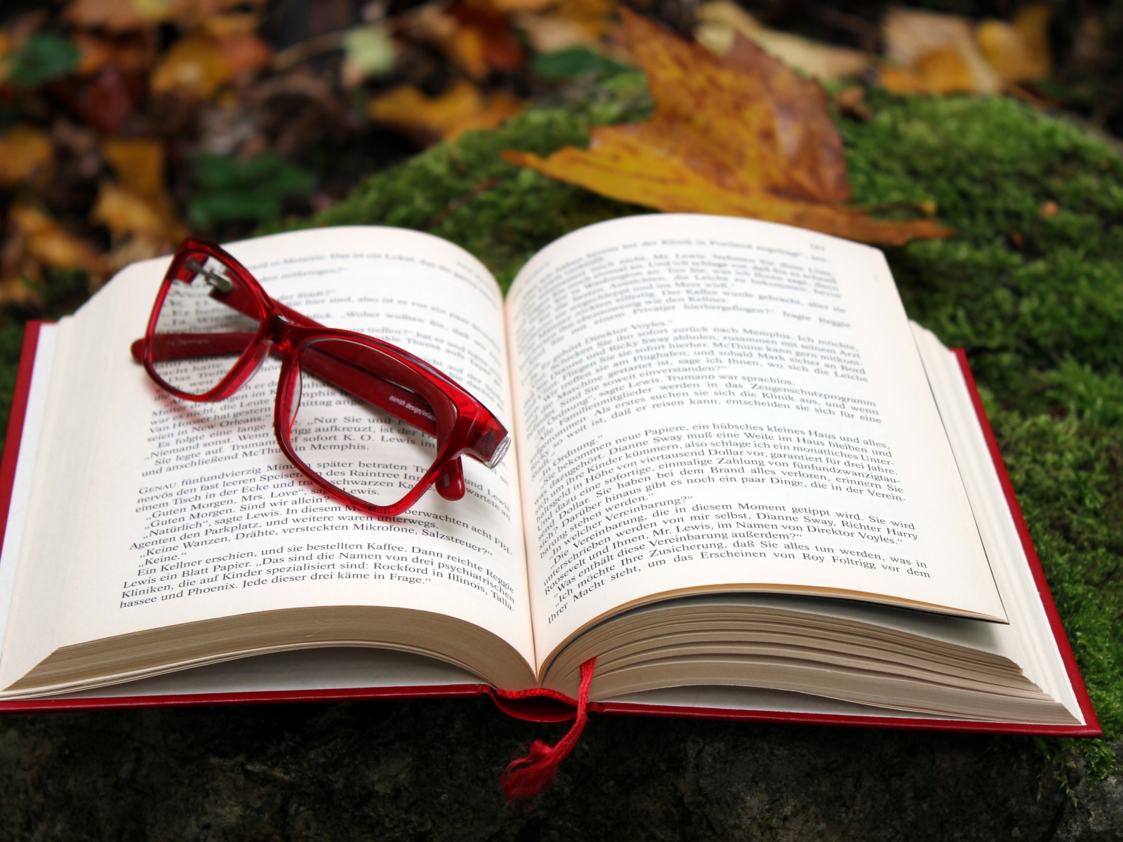 Книга с красными очками лежит на земле 