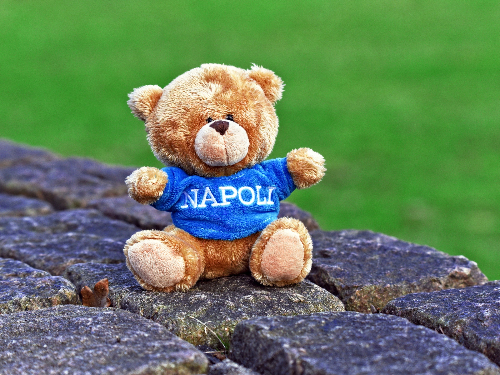 Маленький игрушечный медвежонок сидит на камнях 