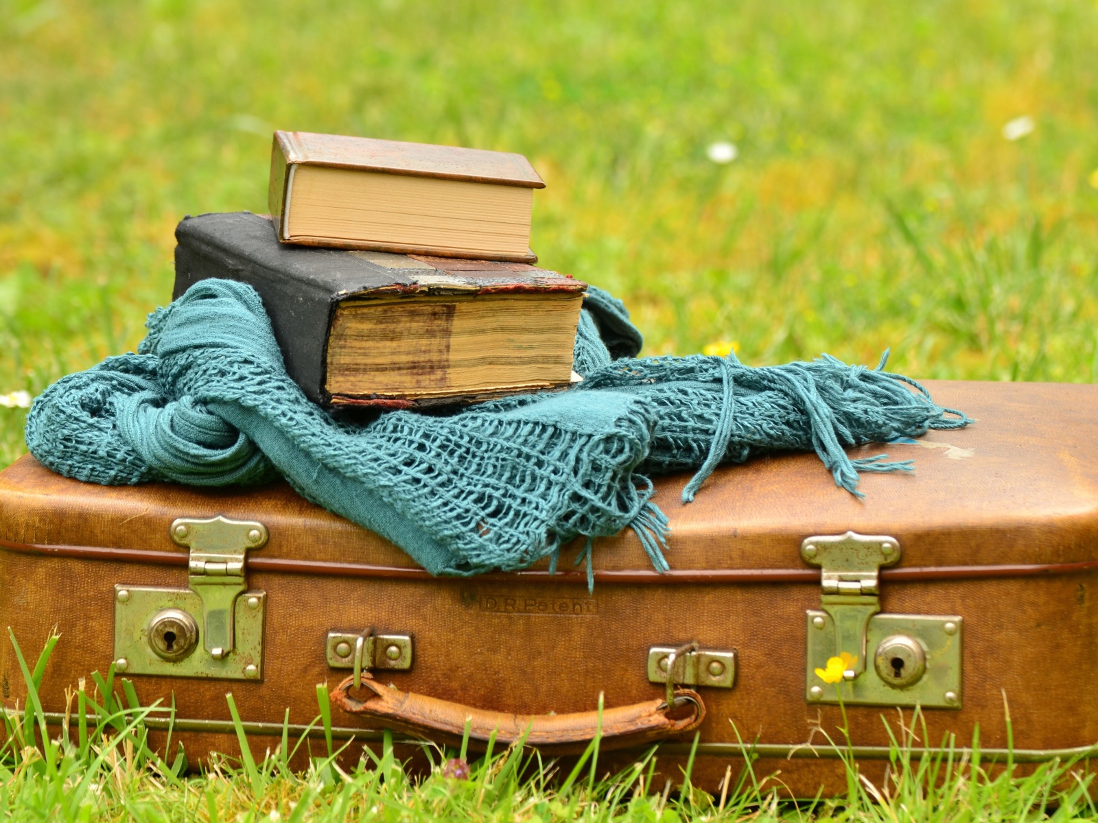Старый чемодан с книгами и шарфом на траве