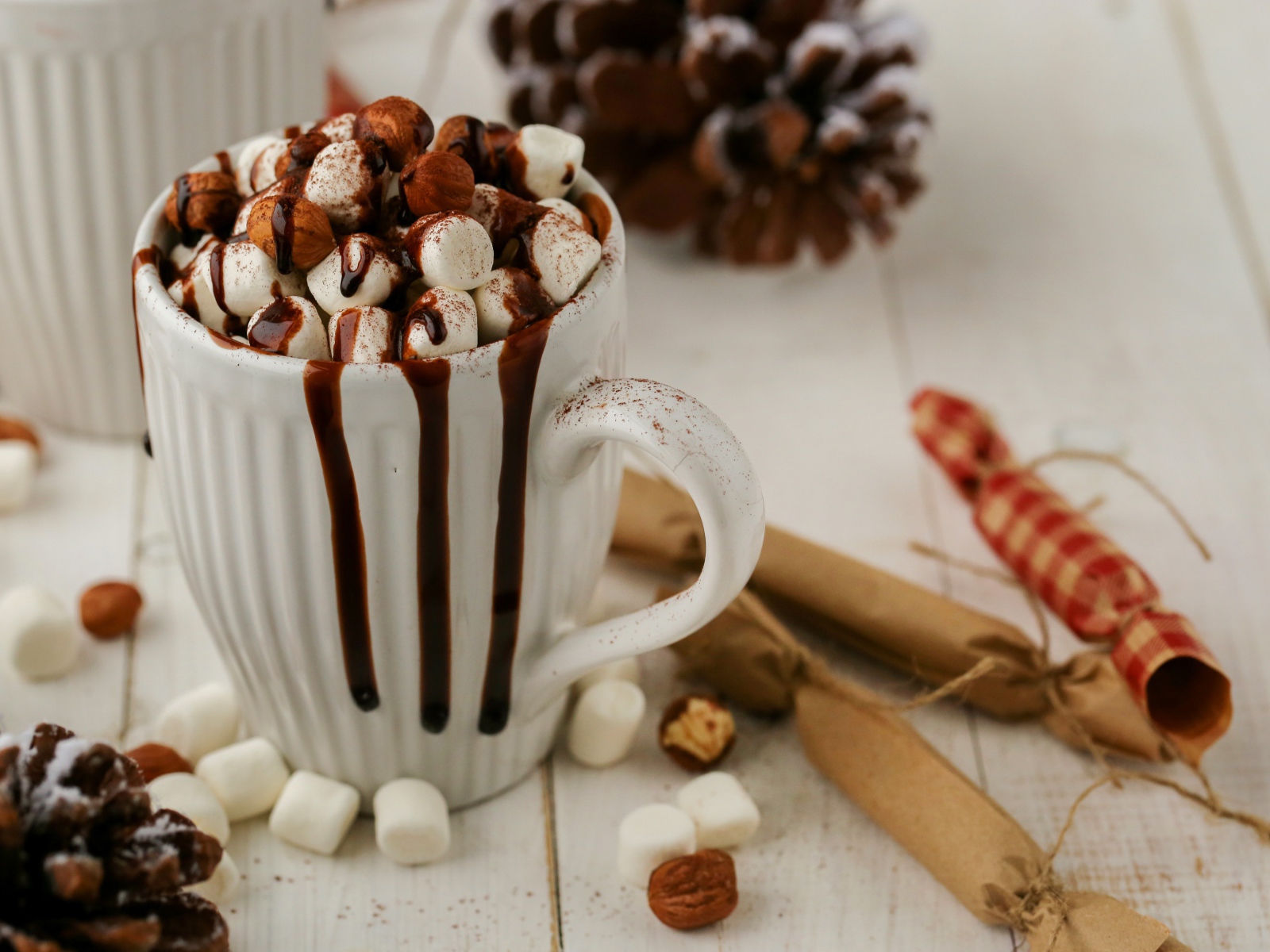 Чашка горячего шоколада с маршмеллоу и корицей 