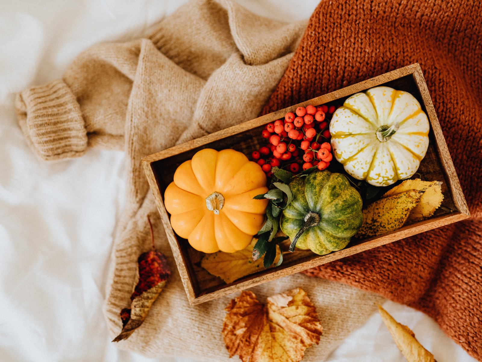 Декоративная тыква в ящике на столе с рябиной