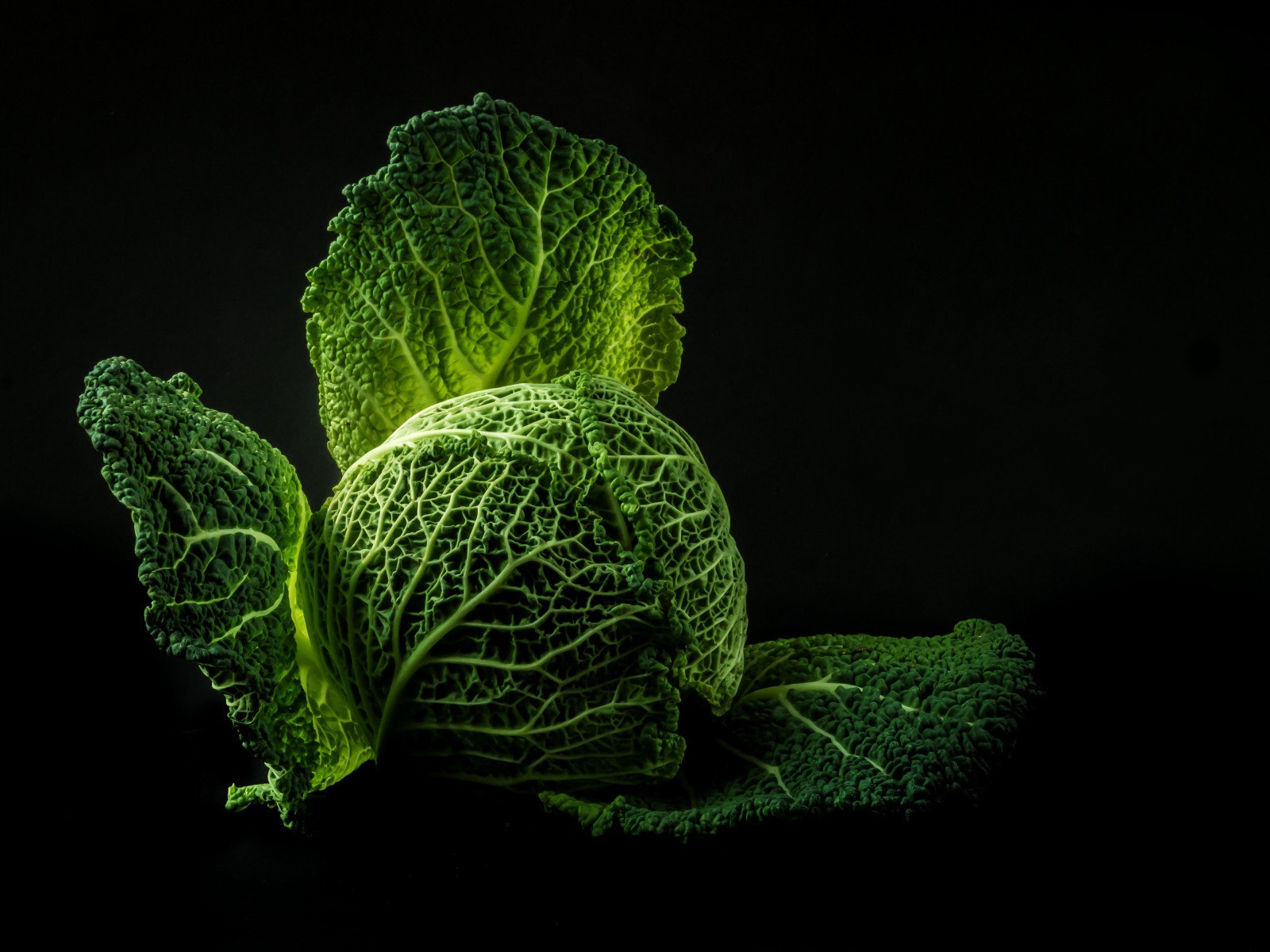 Зеленая капуста на черном фоне крупным планом