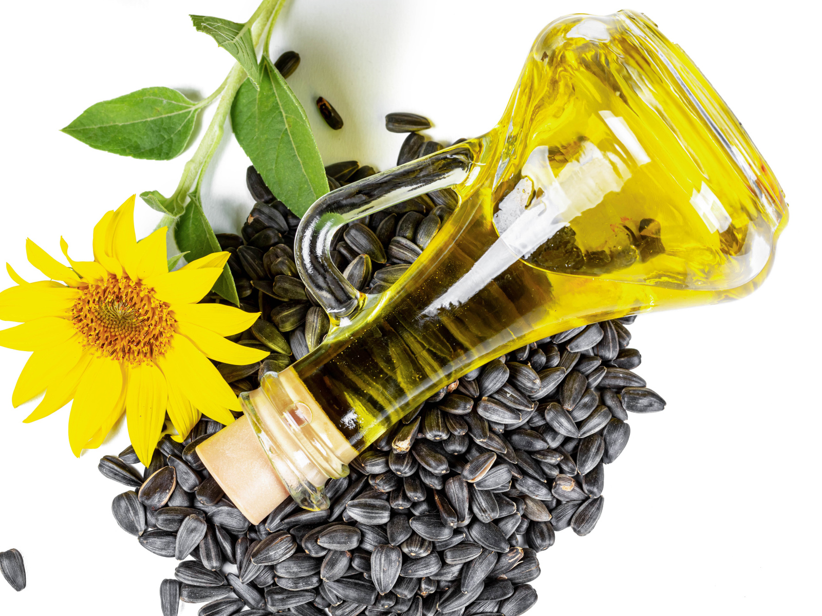Подсолнечное масло с семечками и цветком