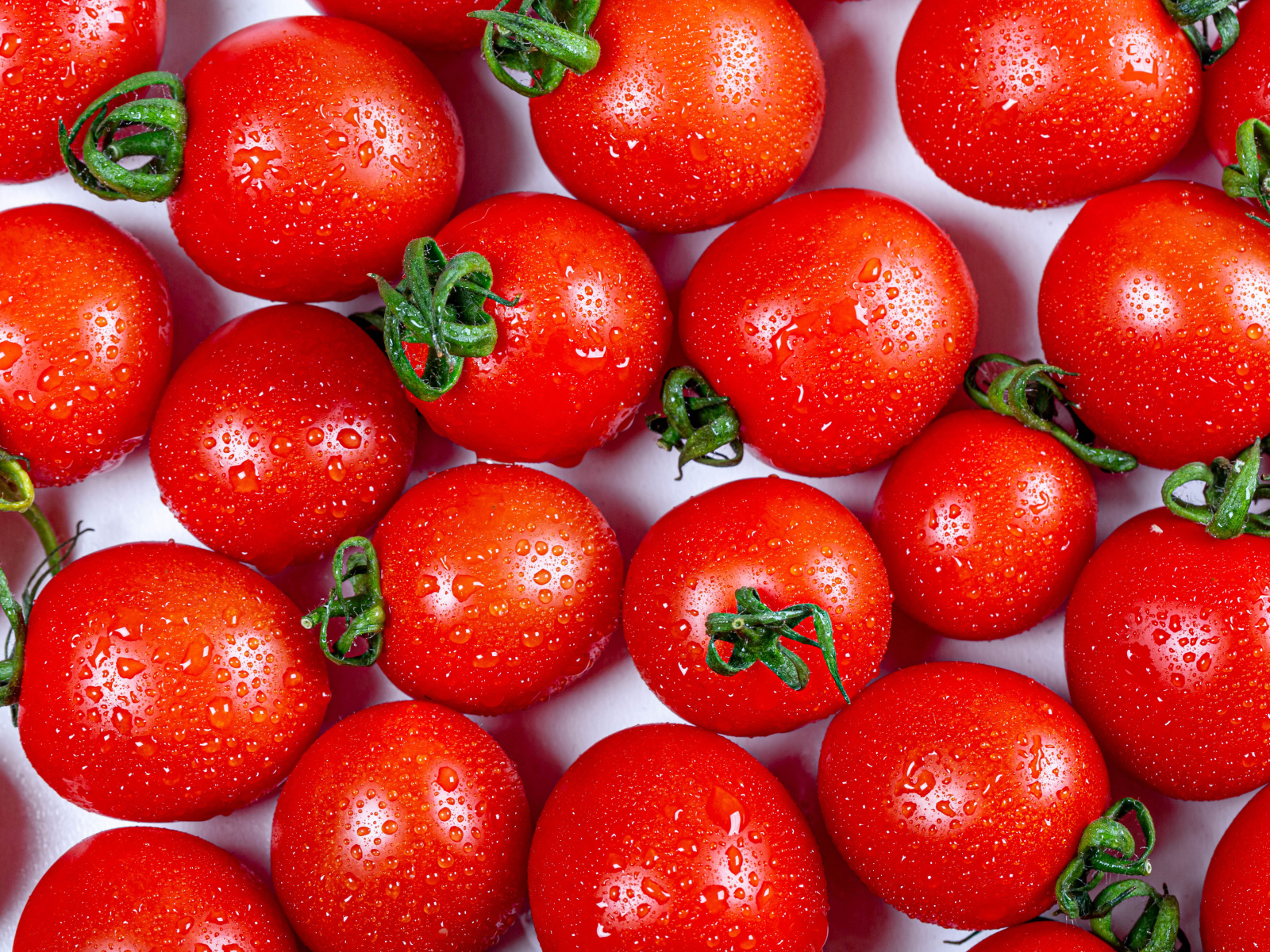 Мокрые красные помидоры крупным планом